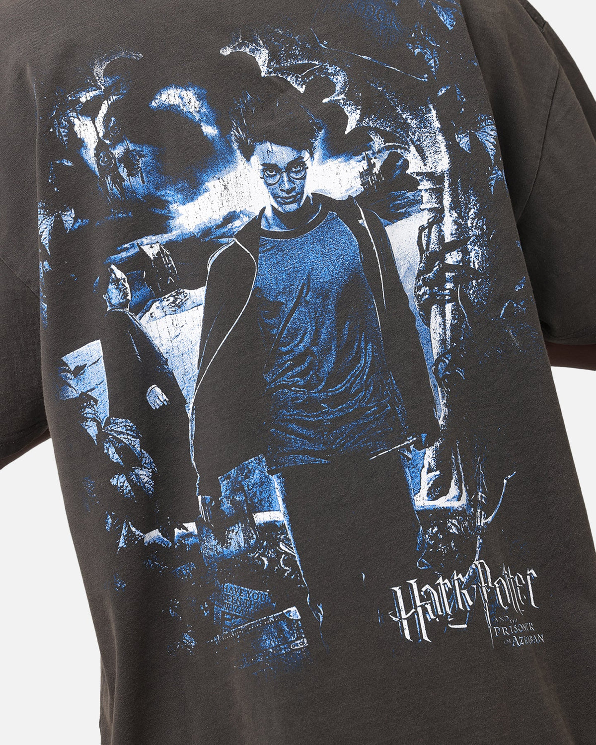 Goat Crew X Harry Potter Heavy T-Shirt Black Wash