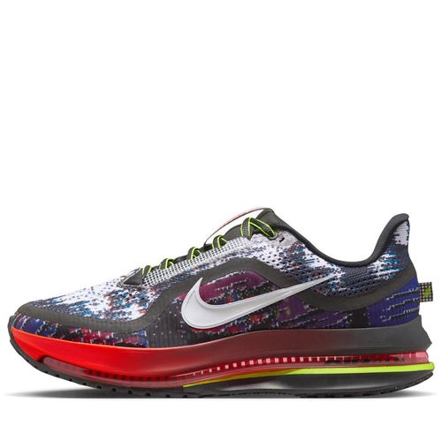 Nike Pegasus Premium - Multi/Metallic Silver